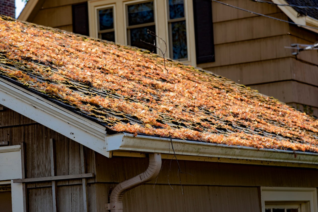 Moss and leaves covering an older residential asphalt shingle roof