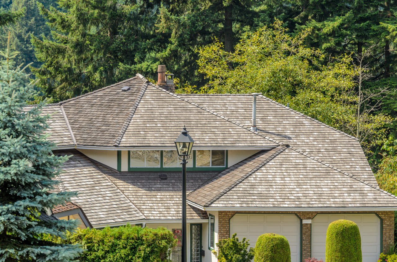 Northwest residential roof surrounded by tall evergreen trees